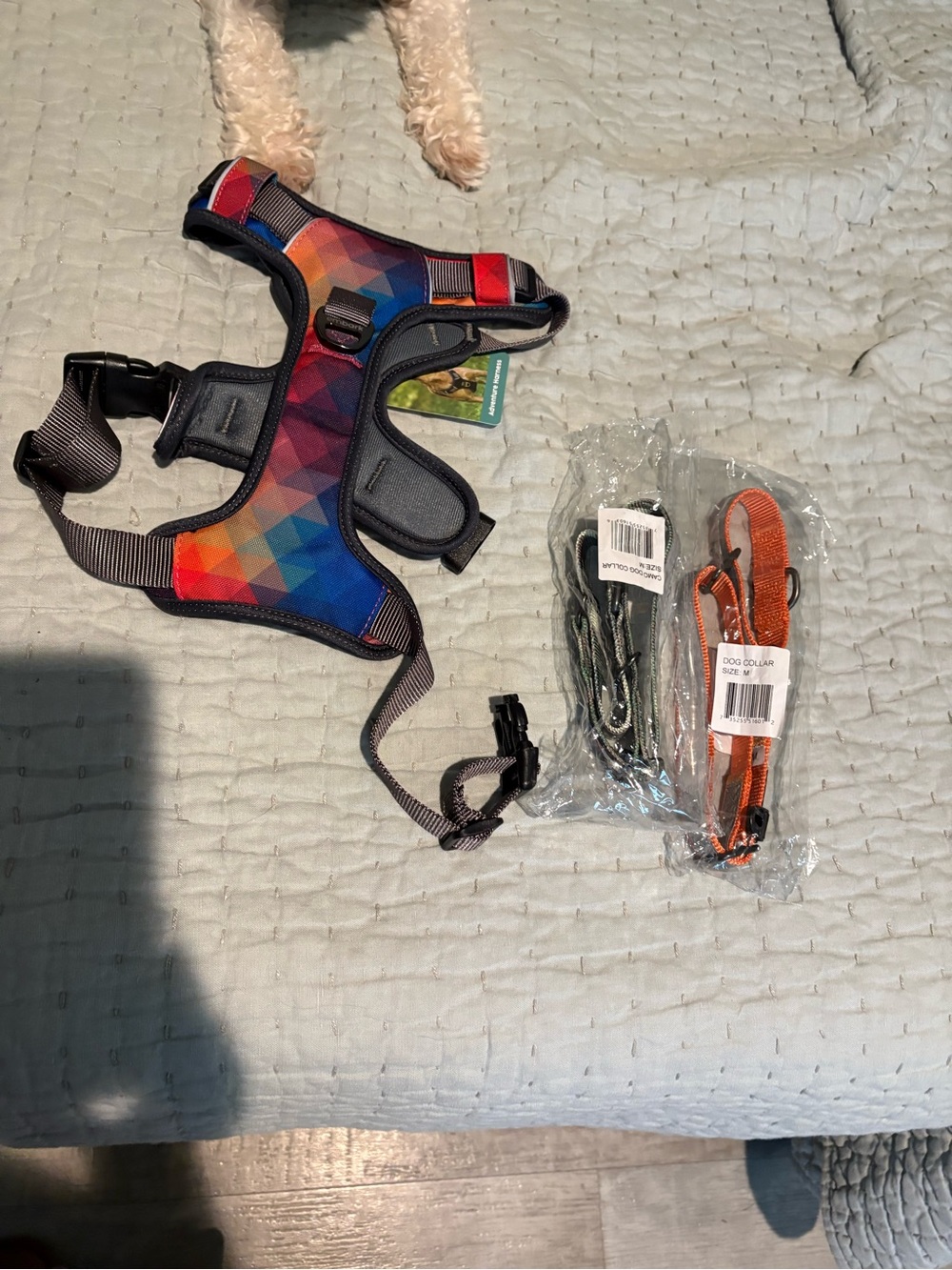 Advent Multicolor Geometric Padded Dog Harness and two collars